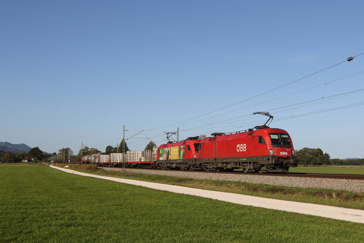 1016 005 und 1116 165  BIO AUSTRIA  waren am 6. Oktober 2022 bei �bersee in Richtung Freilassing unterwegs.