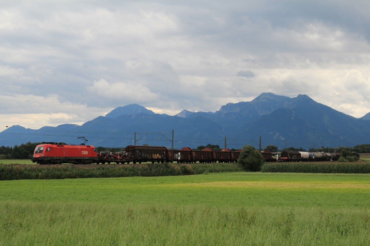 1116 190-0 mit einem gemischten G�terzug aus Salzburg kommend am 15. August 2014 bei Weisham.