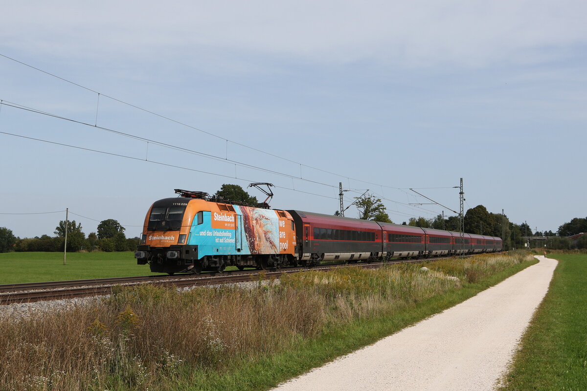 1116 229  Steinbach  aus Salzburg kommend am 26. September 2021 bei �bersee am Chiemsee.