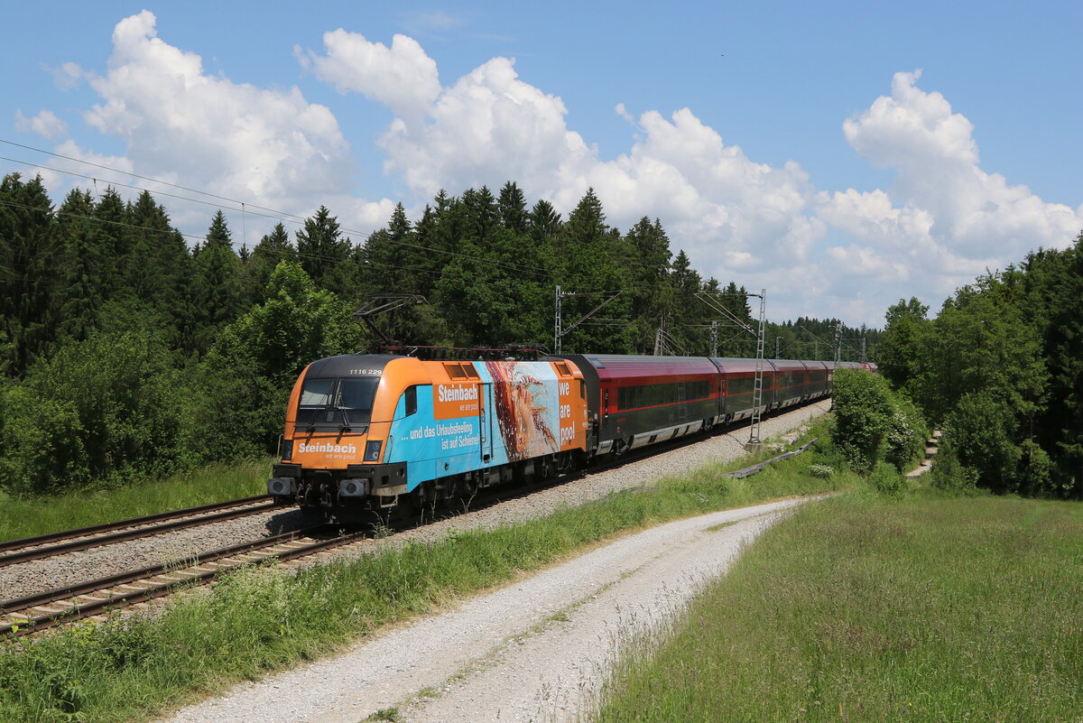 1116 229  Steinbach  unterwegs nach Salzburg am 11. Juni 2021 bei Grabenst�tt im Chiemgau.