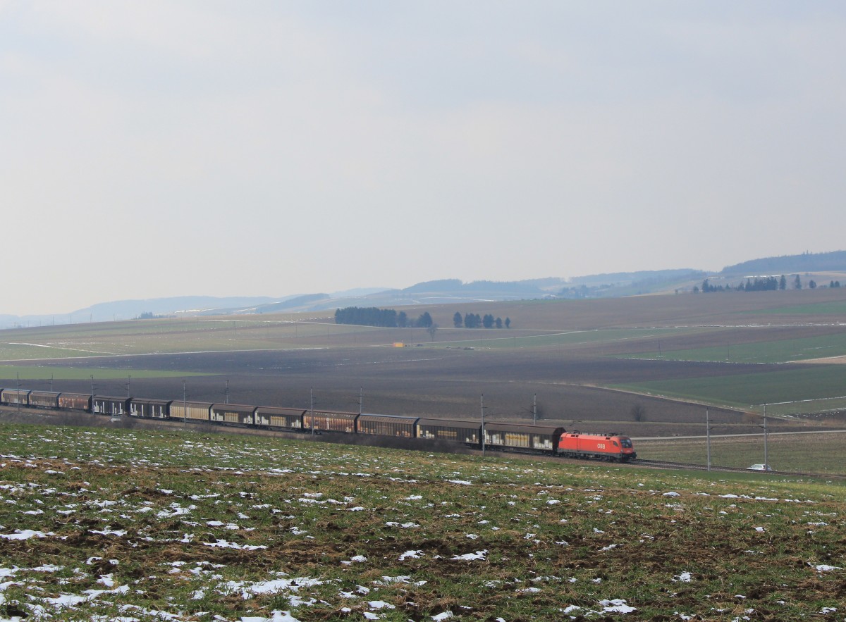 1116 254-4 mit einem G�terzug am 16. M�rz 2013 bei Neulengbach.