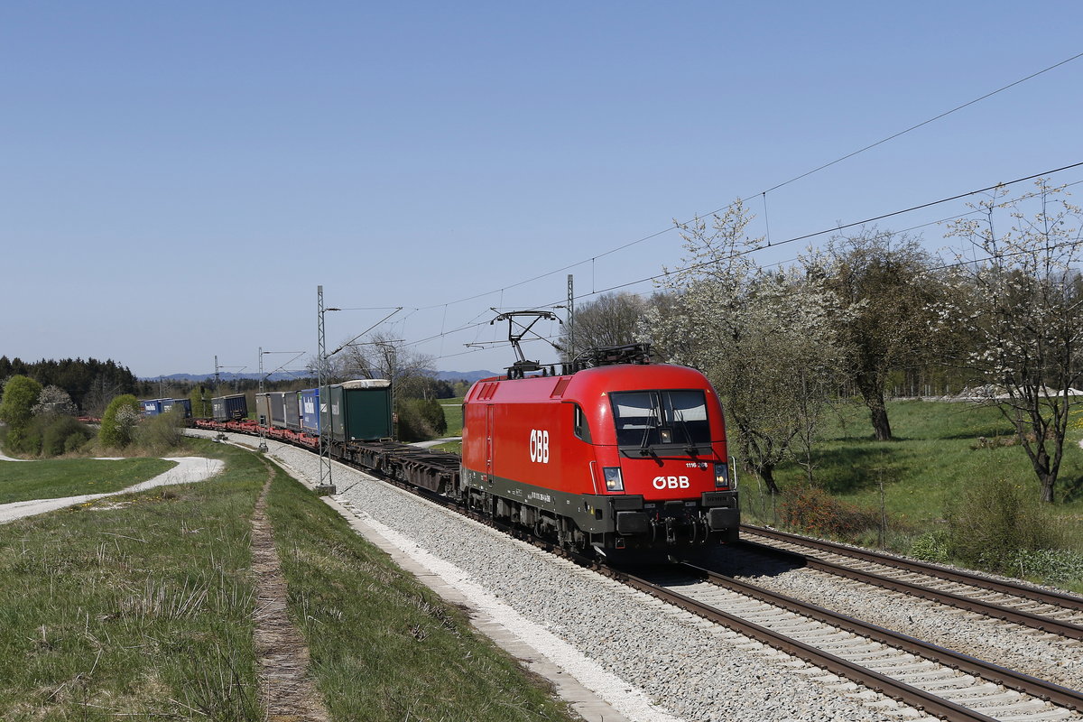 1116 268 war am 19. April 2019 mit einem  KLV  bei Grabenst�tt in Richtung Freilassing unterwegs.