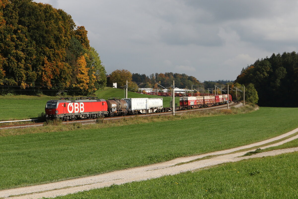 1293 029 mit einem gemischten G�terzug aus Salzburg kommend am 15. Oktober 2025 bei Axdorf.