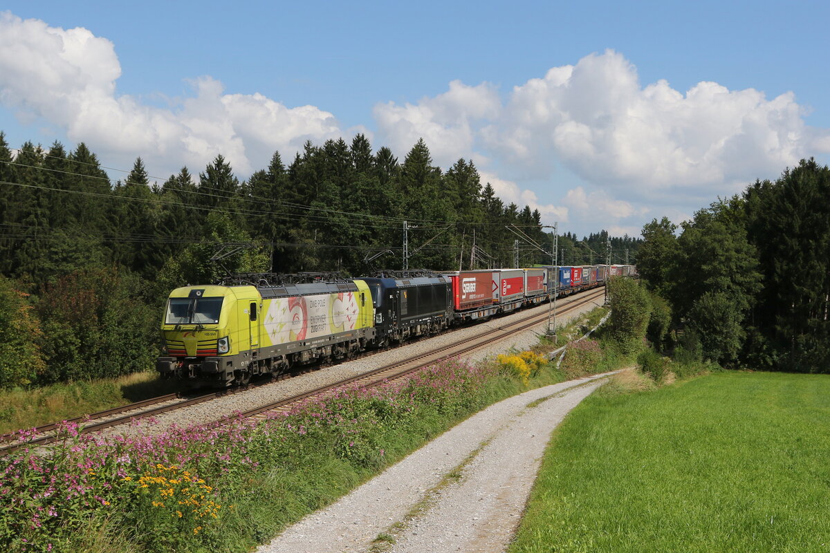 193 550 & 193 x53 mit einem  KLV  aus Salzburg kommend am 1. September 2021 bei Grabenst�tt im Chiemgau.
