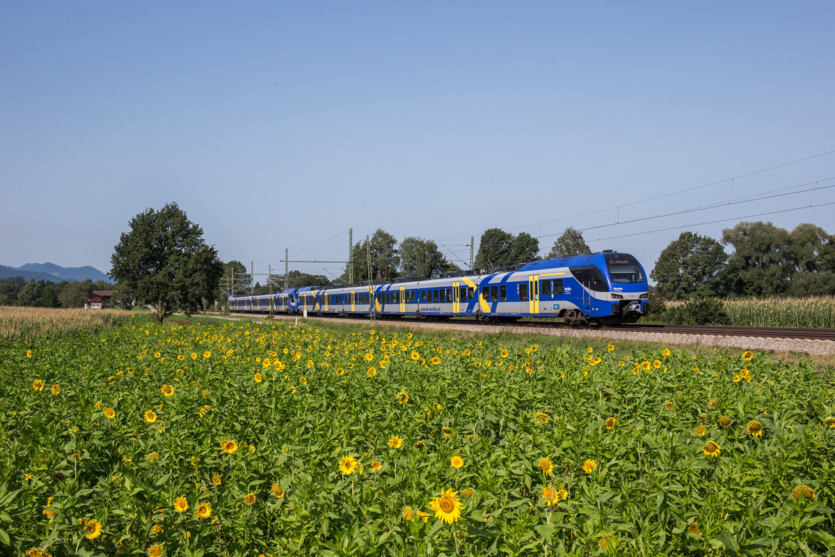 ET 326 auf dem Weg von M�nchen nach Freilassing. Aufgenommen am 26. August 2017 bei �bersee am Chiemsee.