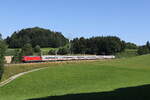 101 085 war mit dem  IC K�nigssee  am 19. Juli 2025 bei Vachendorf in Richtung M�nchen unterwegs.