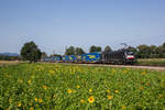 182 562 mit dem  Walter -Zug am 26.