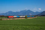 185 232 mit einem sch�nen Kesselwagenzug am 9.