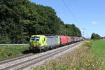 6193 401 von  ALPHA TRAINS  war mit einem gemischten G�terzug am 6.