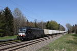 193 662 mit einem Containerzug aus M�nchen kommend am 21.