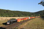 193 874 von  MRCE  mit einem Containerzug aus Gem�nden am 8.
