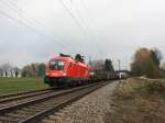 1016 039-8 mit einem G�terzug am 15.