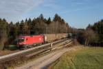1016 037-4 mit einem G�terzug am 19.