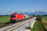 1016 003 mit einem kurzen gemischten G�terzug am 29.