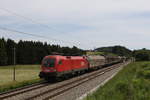 1016 003 mit einem kurzen G�terzug aus Salzburg kommend am 3.