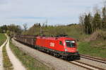 1016 049 mit einem gemischten G�terzug aus M�nchen kommend am 4.