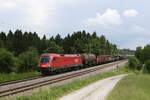 1016 029 mit einem gemischten G�terzug am 10.