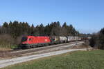 1016 047 mit einem gemischten G�terzug am 8.