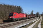 1016 008 mit einem gemischten G�terzug aus Salzburg kommend am 9.