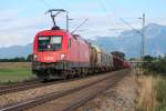 1116 110-6 mit einem gemischten G�terzug am 9.