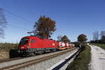 1116 076 mit einem G�terzug am 10.