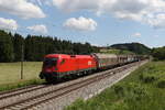 1116 078 mit einem Schiebewandwagenzug auf dem Weg nach M�nchen am 2.