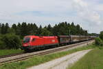 1116 041 mit einem gemischten G�terzug aus Salzburg kommend am 8.