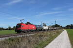 1116 062 mit einem gemischten G�terzug aus Salzburg kommend am 20.
