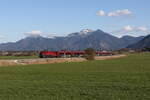 1116 232 aus Salzburg kommend am 8.