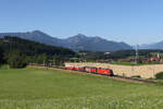 1116 194 und 1293 179 mit einem gemischten G�terzug aus M�nchen kommend am 19.