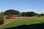 1116 098 war am 15.