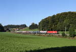 1116 134 war am 3.