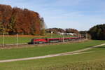 1116 214 war am 31.