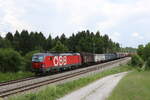 1293 045 mit einem gemischten G�terzug aus Salzburg kommend am 10.