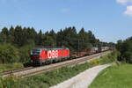 1293 060 mit einem gemischten G�terzug aus Salzburg kommend am 30.