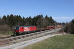 1293 194 mit einem gemischten G�terzug aus Salzburg kommend am 16.