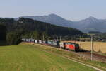 1293 032 mit einem  KLV  aus M�nchen kommend am 13.