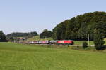 1293 197 mit einem gemischten G�terzug auf dem Weg nach Salzburg.