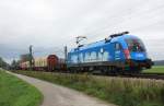 1016 023-2  �BB Gr�ne Schiene  war am 5.