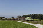 1016 020  Klimaschutz  mit einem gemischten G�terzug auf dem Weg nach Salzburg am 16.