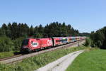 1116 249 mit dem  �FB-Railjet  aus Salzburg kommend am 6.