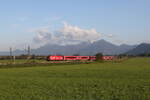 1116 251 war mit dem  100 Jahre �BB -Railjet am 18.